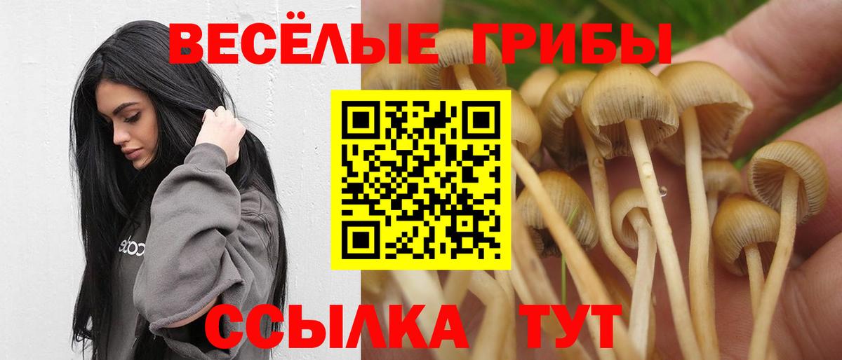 Галлюциногенные грибы Psilocybine cubensis  Вход с VPN  Краснознаменск 