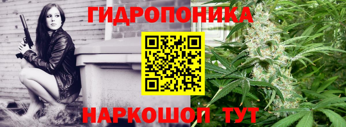 Бошки марихуана Amnesia  Шишки марихуана VHQ  Шишки марихуана гибрид  Краснознаменск  Вход с VPN 